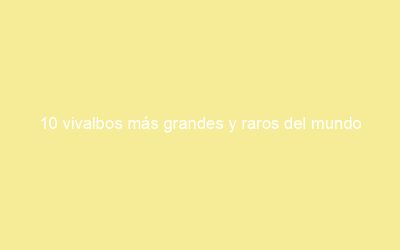 10 vivalbos más grandes y raros del mundo