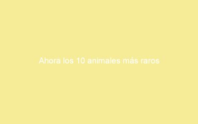 Ahora los 10 animales más raros