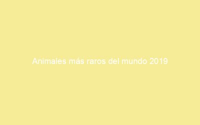 Animales más raros del mundo 2023