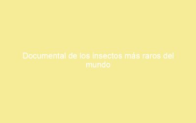 Documental de los insectos más raros del mundo