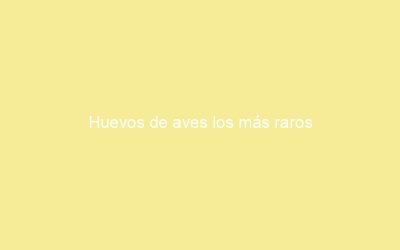 Huevos de aves los más raros