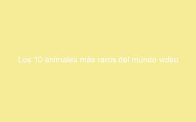 Los 10 animales más raros del mundo video