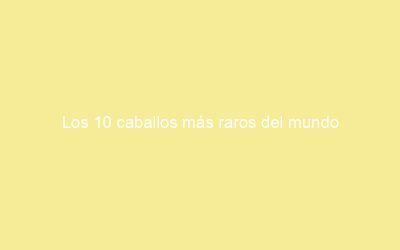 Los 10 caballos más raros del mundo
