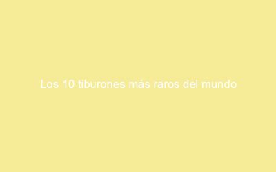 Los 10 tiburones más raros del mundo