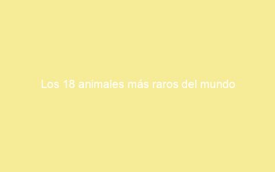 Los 18 animales más raros del mundo