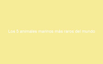 Los 5 animales marinos más raros del mundo