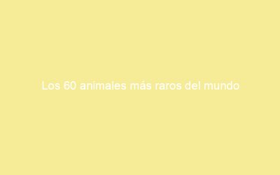 Los 60 animales más raros del mundo