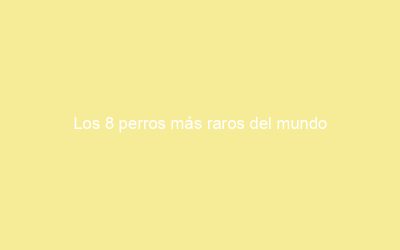 Los 8 perros más raros del mundo