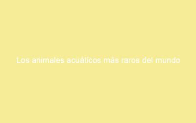 Los animales acuáticos más raros del mundo