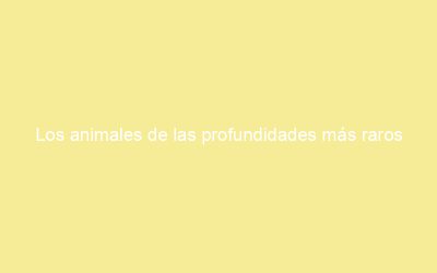 Los animales de las profundidades más raros
