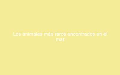 Los animales más raros encontrados en el mar