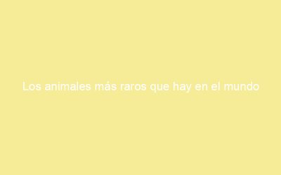 Los animales más raros que hay en el mundo