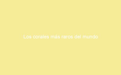 Los corales más raros del mundo