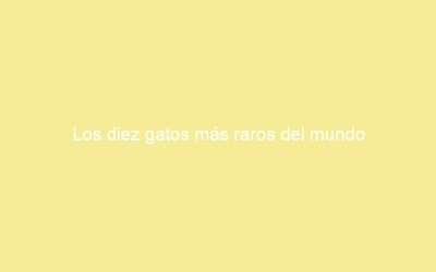 Los diez gatos más raros del mundo