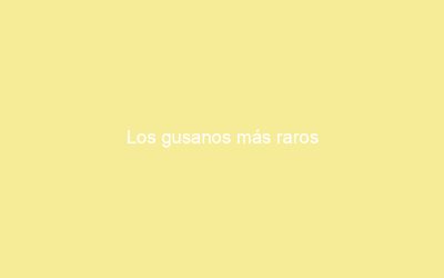 Los gusanos más raros