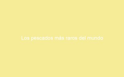 Los pescados más raros del mundo