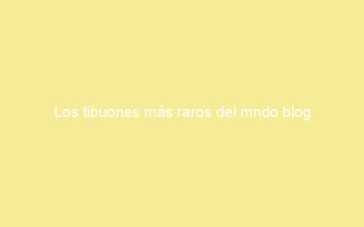 Los tibuones más raros del mndo blog