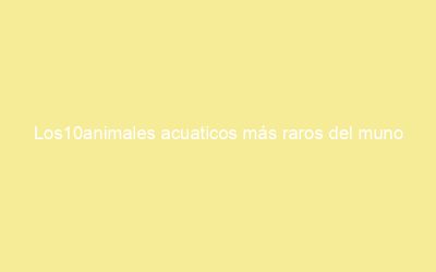Los10animales acuaticos más raros del muno
