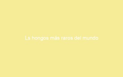 Ls hongos más raros del mundo