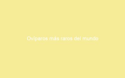 Ovíparos más raros del mundo