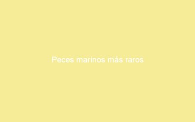 Peces marinos más raros