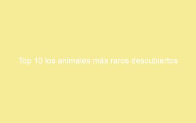 Top 10 los animales más raros descubiertos recientemente