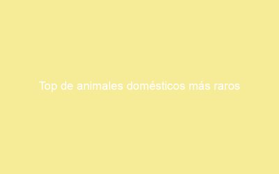 Top de animales domésticos más raros