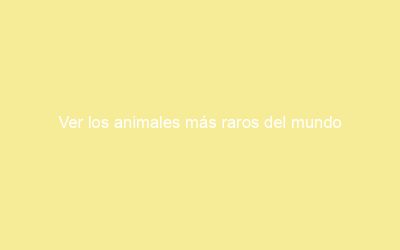 Ver los animales más raros del mundo