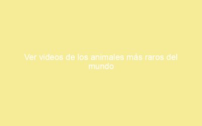 Ver videos de los animales más raros del mundo
