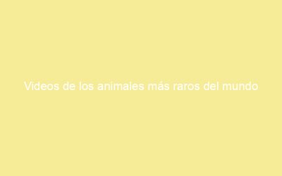 Videos de los animales más raros del mundo