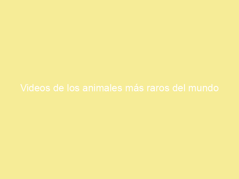 Videos de los animales más raros del mundo